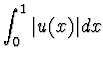 $\displaystyle{\int_0^1 \vert u(x)\vert dx}$